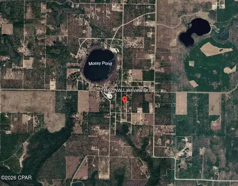 21102 NW Lakeview Dr, Altha, FL 32421 photo 3