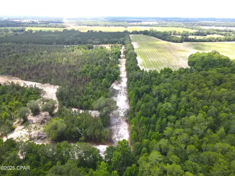 0 Autumn Rd, Malone, FL 32445 photo 28