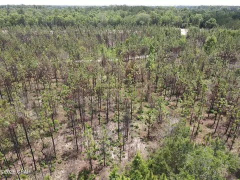 0 Autumn Rd, Malone, FL 32445 photo 42