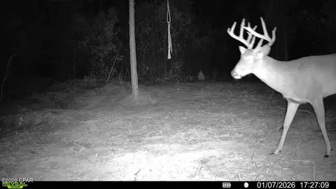 0 Autumn Rd, Malone, FL 32445 photo 8