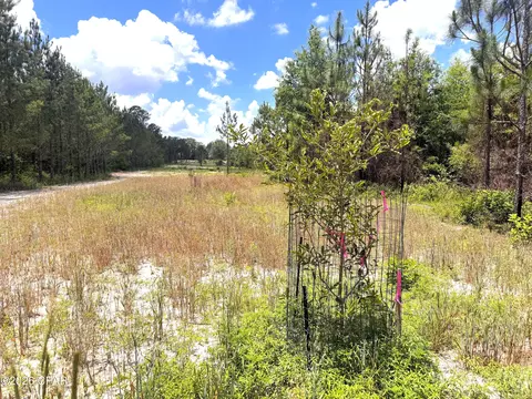 0 Autumn Rd, Malone, FL 32445 photo 21