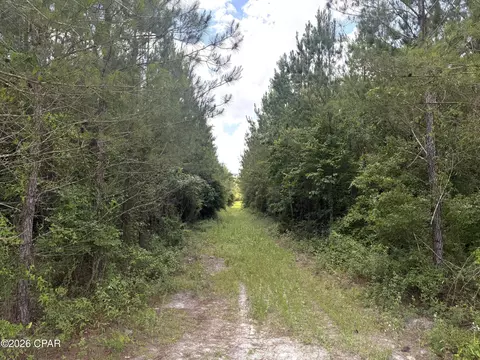0 Autumn Rd, Malone, FL 32445 photo 36