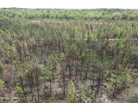 0 Autumn Rd, Malone, FL 32445 photo 18