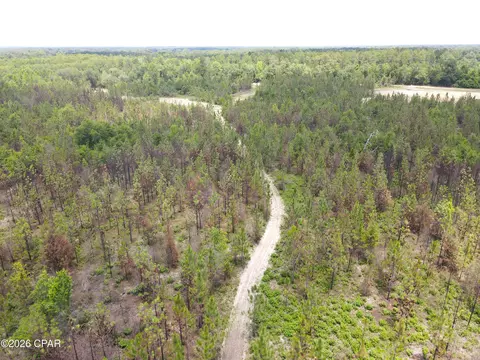 0 Autumn Rd, Malone, FL 32445 photo 17