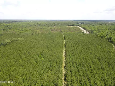 0 Autumn Rd, Malone, FL 32445 photo 22