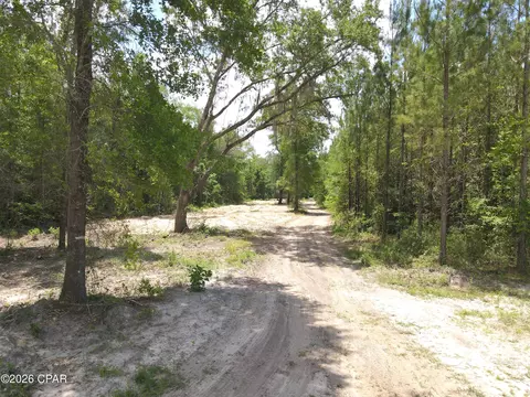0 Autumn Rd, Malone, FL 32445 photo 52