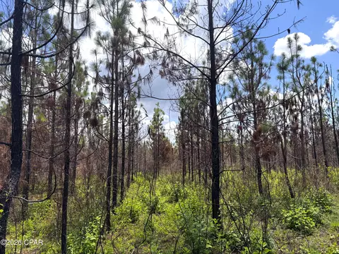 0 Autumn Rd, Malone, FL 32445 photo 44