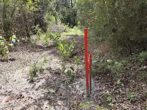 0 Autumn Rd, Malone, FL 32445 photo 57
