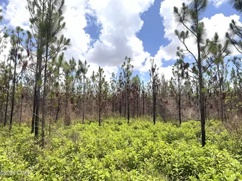 0 Autumn Rd, Malone, FL 32445 photo 19