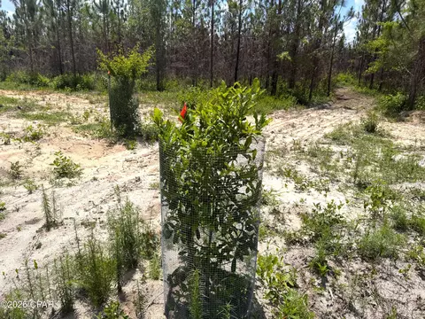 0 Autumn Rd, Malone, FL 32445 photo 12