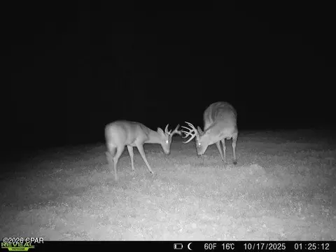 0 Autumn Rd, Malone, FL 32445 photo 9