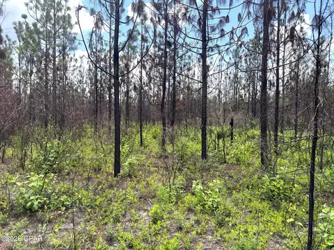 0 Autumn Rd, Malone, FL 32445 photo 43