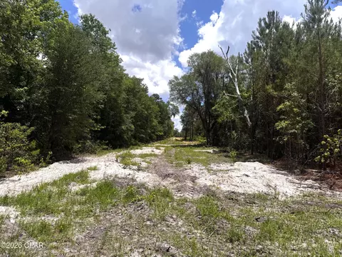 0 Autumn Rd, Malone, FL 32445 photo 53