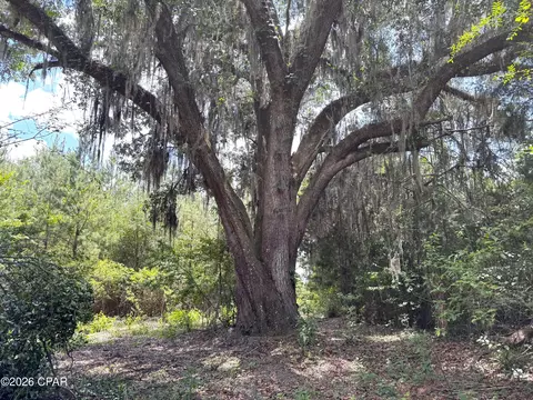 0 Autumn Rd, Malone, FL 32445 photo 20