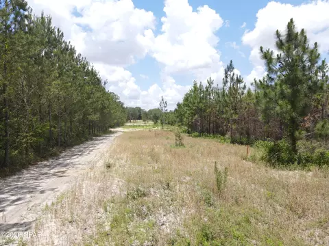 0 Autumn Rd, Malone, FL 32445 photo 38