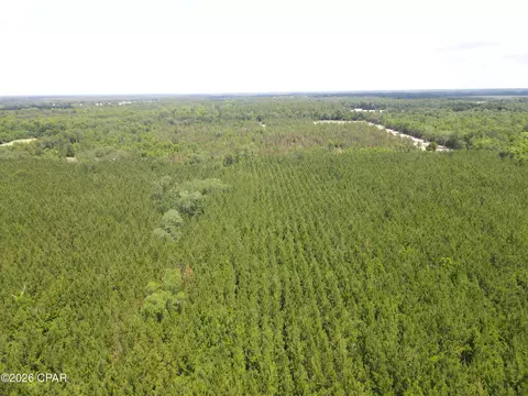 0 Autumn Rd, Malone, FL 32445 photo 34