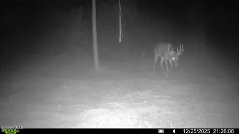 0 Autumn Rd, Malone, FL 32445 photo 7