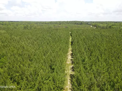 0 Autumn Rd, Malone, FL 32445 photo 35