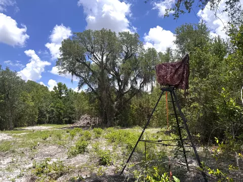 0 Autumn Rd, Malone, FL 32445 photo 50