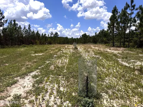 0 Autumn Rd, Malone, FL 32445 photo 49