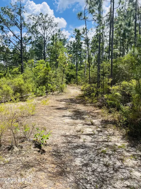 tbd Chaco Cir, Alford, FL 32420