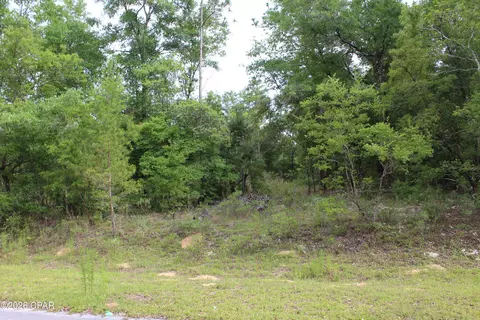 4148 Arnone Ln, Chipley, FL 32428 photo 3