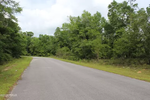 4148 Arnone Ln, Chipley, FL 32428 photo 4