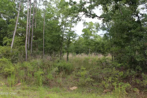4148 Arnone Ln, Chipley, FL 32428 photo 6