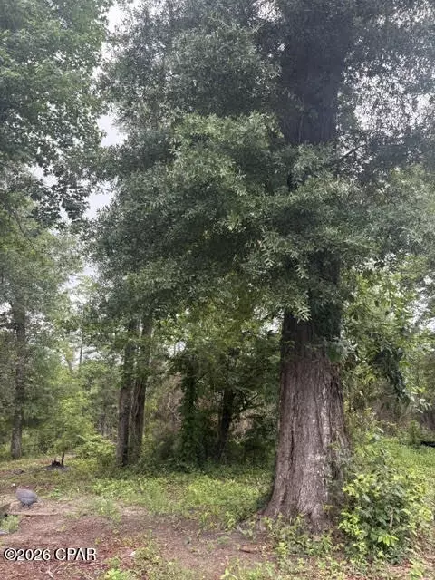 2435 Douglas Pond Rd, Marianna, FL 32446
