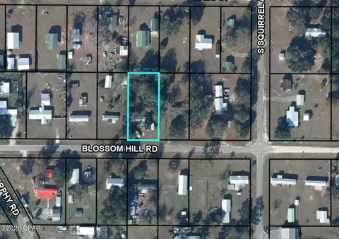 6965 Blossom Hill Rd, Wewahitchka, FL 32465