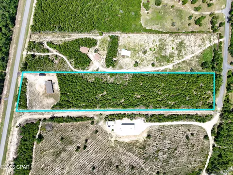 8676 NW County Road 274, Altha, FL 32421 photo 41