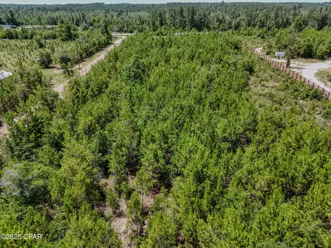 8676 NW County Road 274, Altha, FL 32421 photo 39