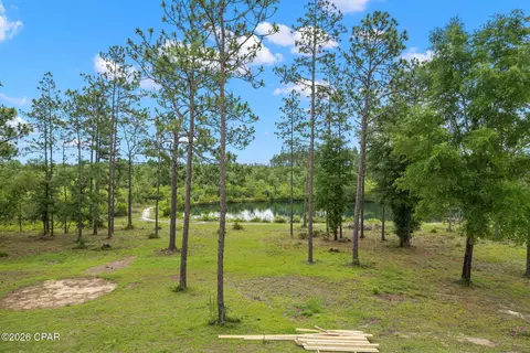 View/Area - 24197 NW Pine Tree Trl, Fountain, FL 32438 photo 1 of 8