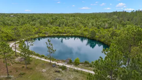 View/Area - 24197 NW Pine Tree Trl, Fountain, FL 32438 photo 3 of 8