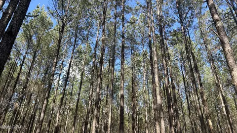 T Grimes Grimes Road, Laurel Hill, FL 32567