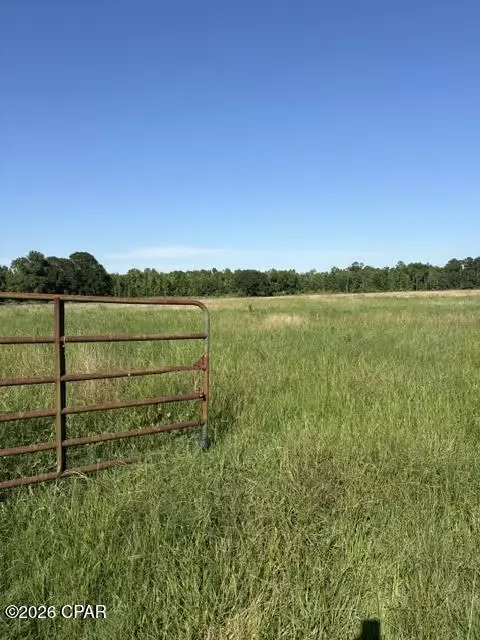 0 Galloway Rd, Graceville, FL 32440