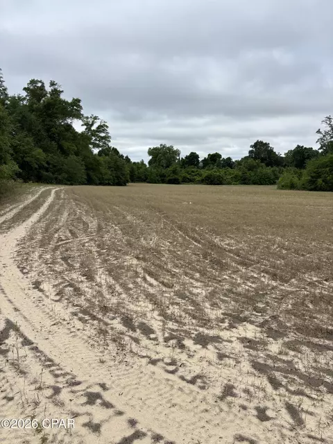 0 Blue Springs Rd, Greenwood, FL 32443