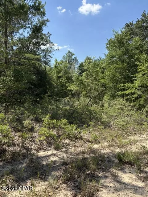 00 Pasofino Ln #M-2, Alford, FL 32420