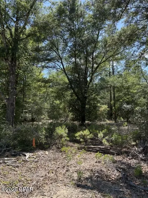 0 Pasofino Ln #M2-B3, Alford, FL 32420