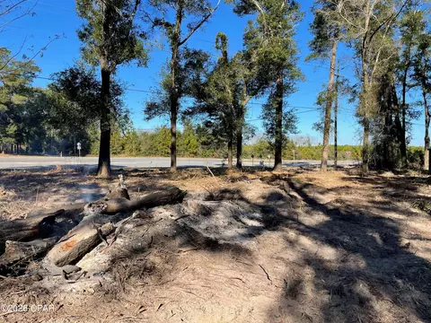 6483 Dog Track Rd, Ebro, FL 32437 photo 4
