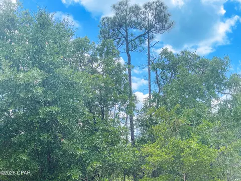 0000 Cracked Egg Ln, Chipley, FL 32428 photo 7