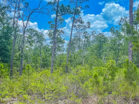 0000 Cracked Egg Ln, Chipley, FL 32428 photo 8