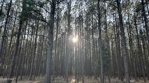Z Z Grimes Road, Laurel Hill, FL 32567
