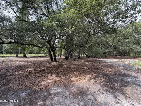 4304 Thunder Rd, Sneads, FL 32460 photo 25