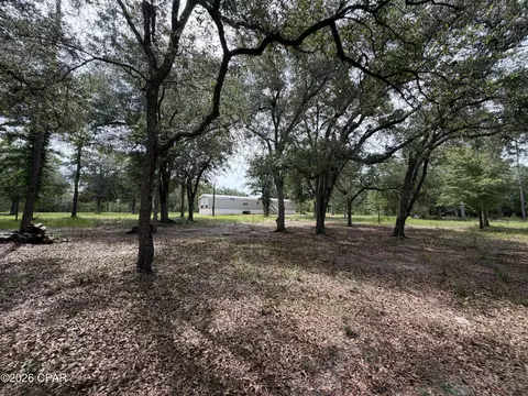 4304 Thunder Rd, Sneads, FL 32460 photo 27