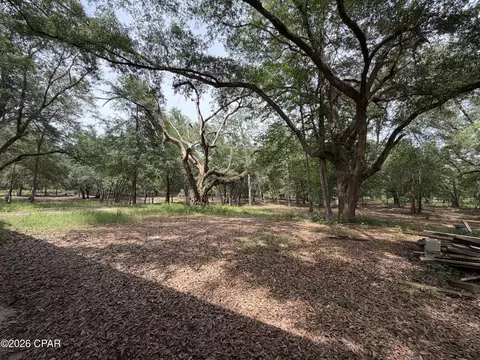 4304 Thunder Rd, Sneads, FL 32460 photo 23