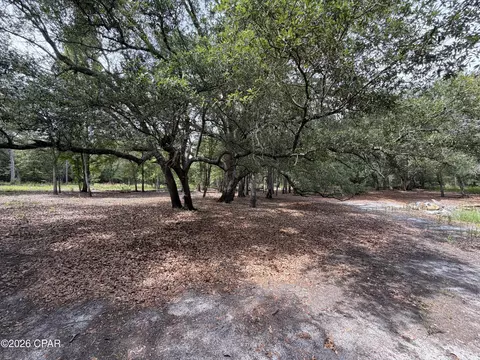 4304 Thunder Rd, Sneads, FL 32460 photo 25