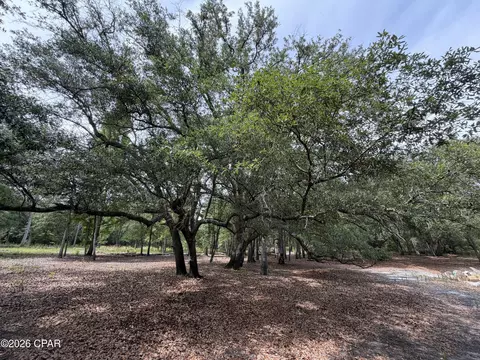 4304 Thunder Rd, Sneads, FL 32460 photo 24