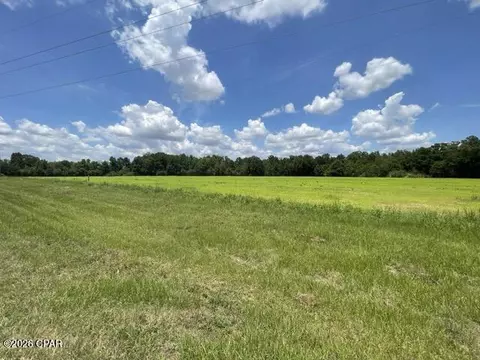 0000 Peanut Rd, Graceville, FL 32440