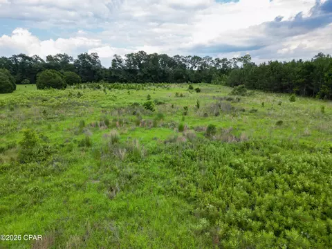 Highway 77, Chipley, FL 32428 photo 5